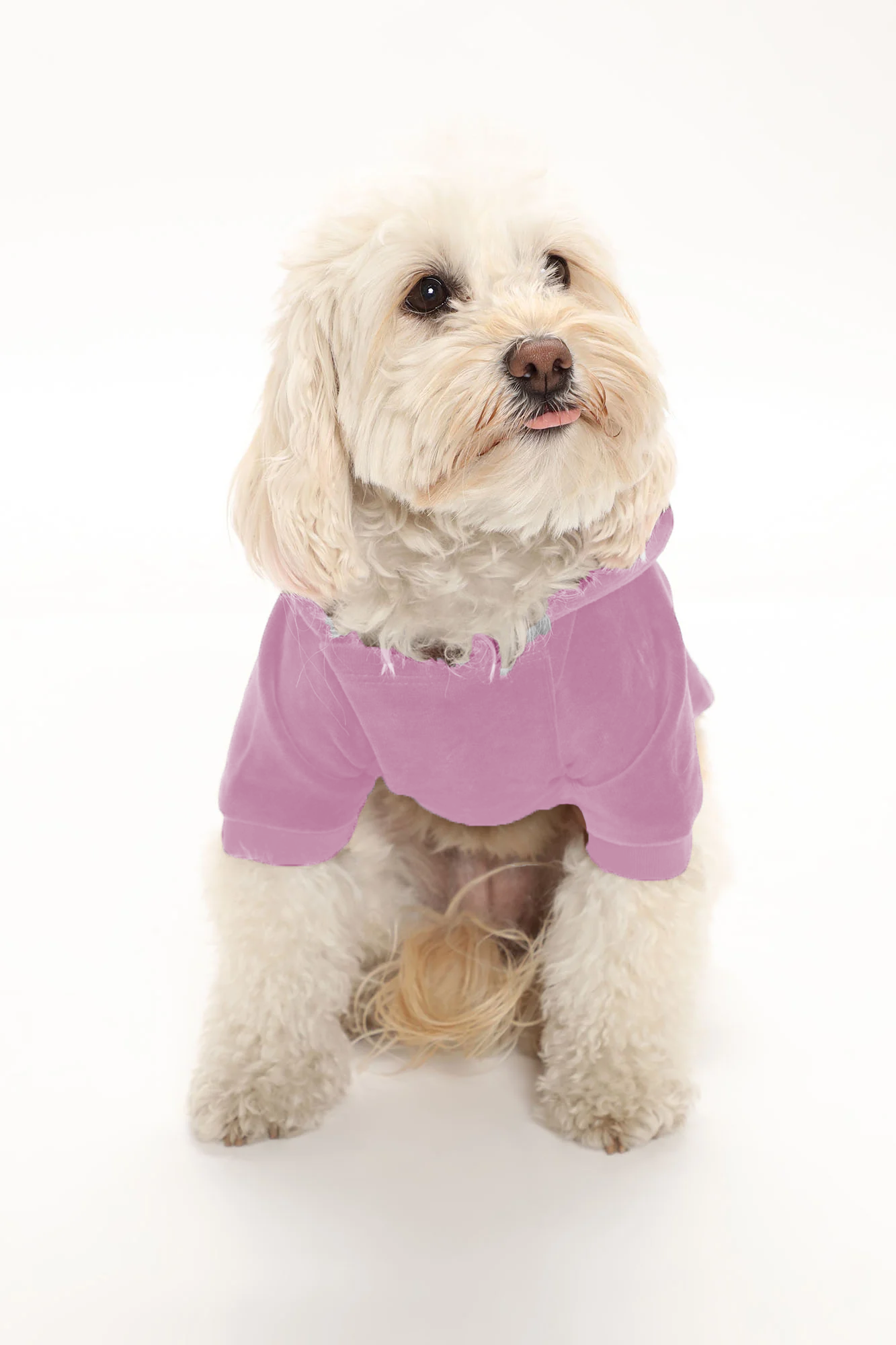 Signature Hoodie -Pets Pink