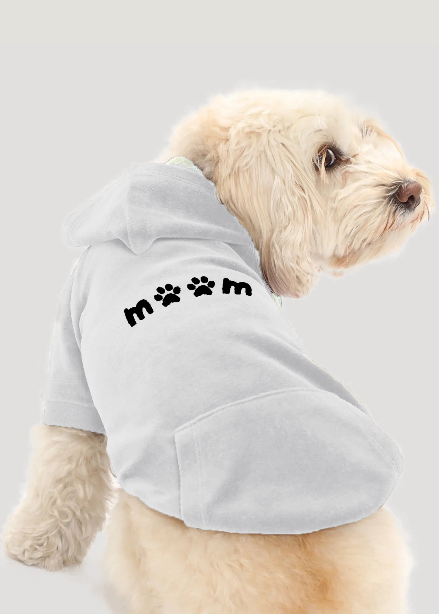 Signature Hoodie -Pets White