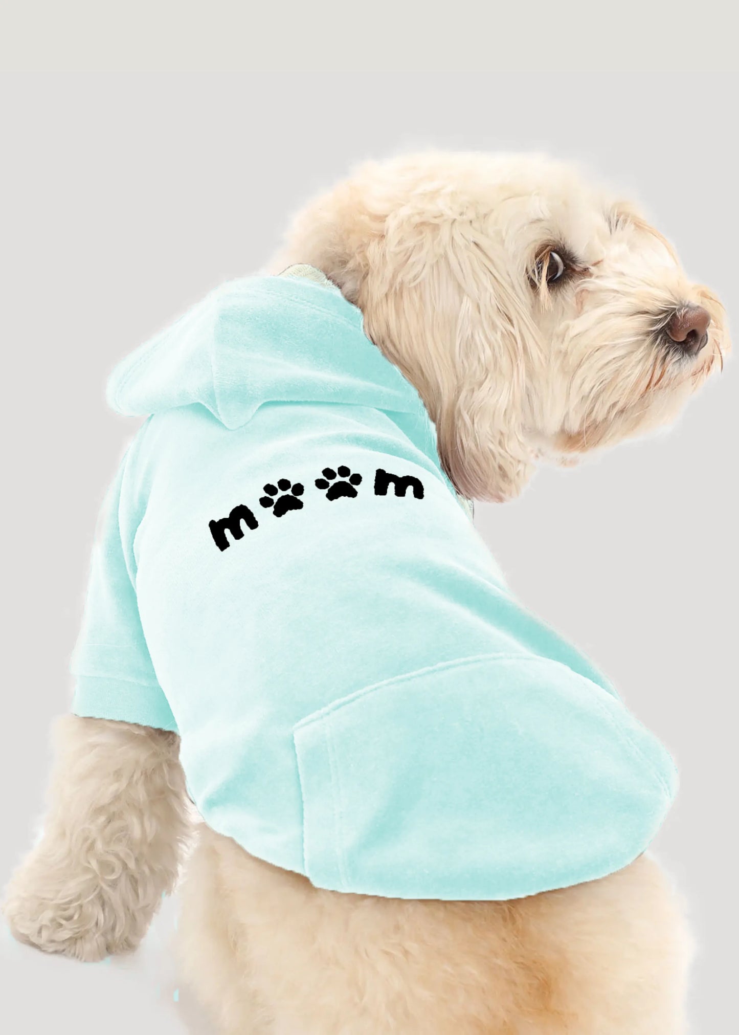 Signature Hoodie -Pets Mint