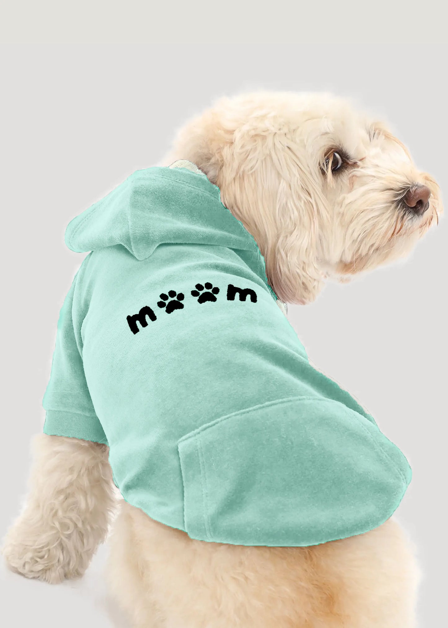 Signature Hoodie -Pets Mint