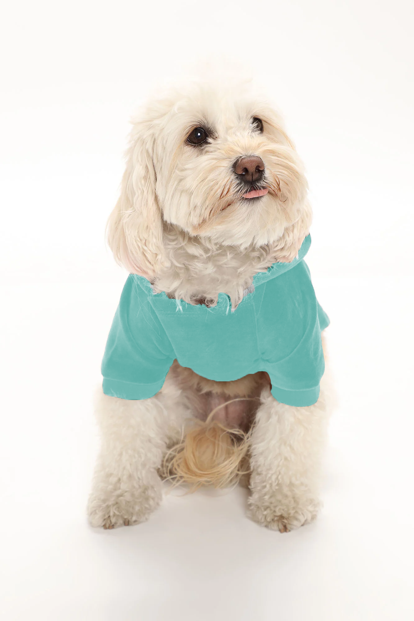 Signature Hoodie -Pets Mint